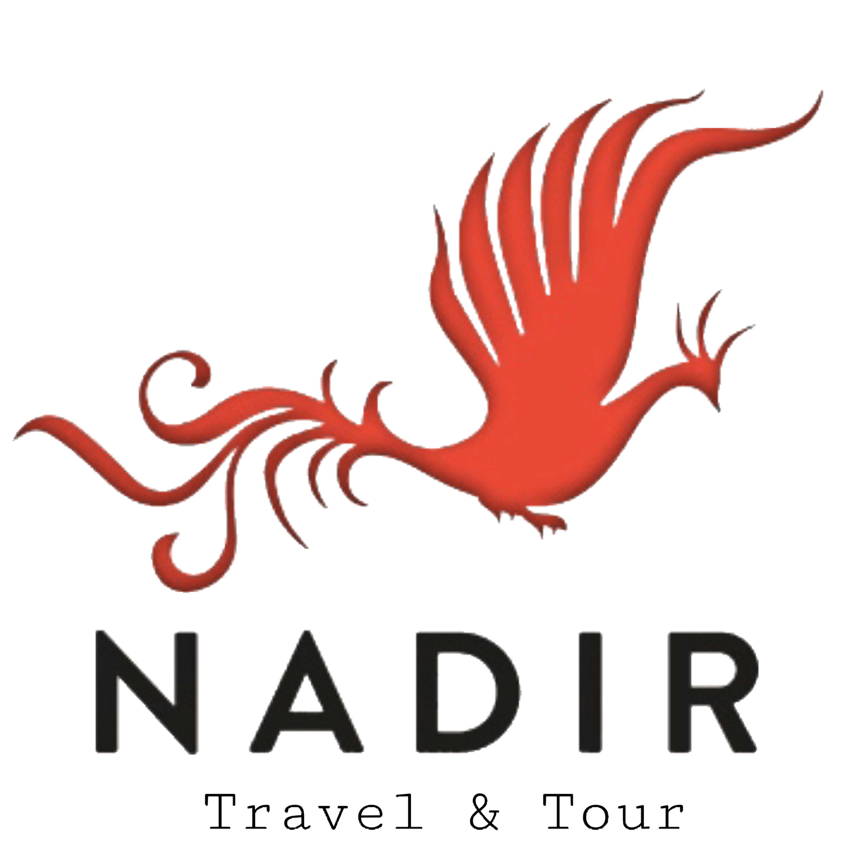 Nadir Travel & Tour